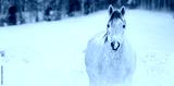preview cold