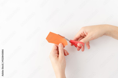 image to crop