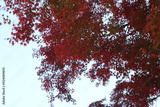 preview original