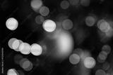 preview bw