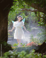 preview original