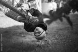 preview bw