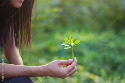 image to crop