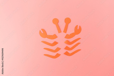 image to crop