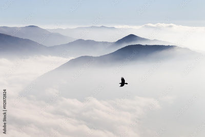image to crop