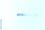 preview cold