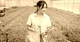 preview sephia
