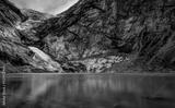 preview bw