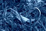 preview cold