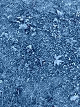 preview cold