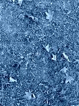 preview cold