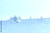preview cold