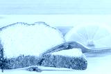 preview cold