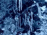 preview cold