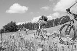 preview bw
