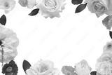 preview bw