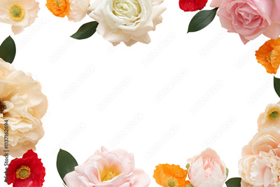 image to crop