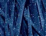 preview cold