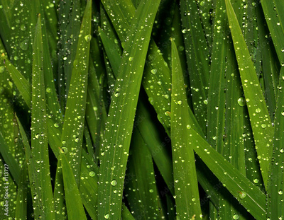 image to crop