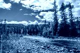 preview cold