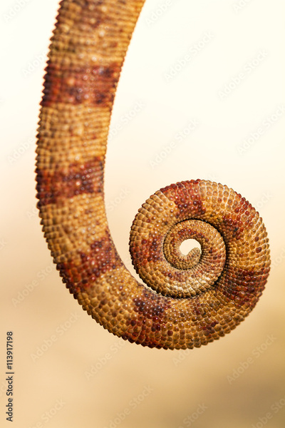 image to crop