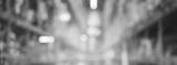 preview bw