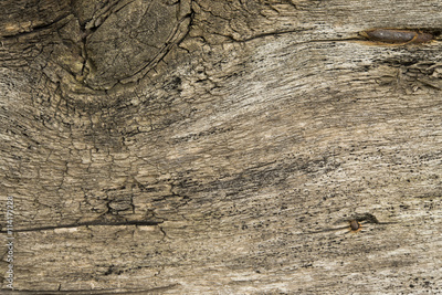 image to crop