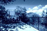 preview cold