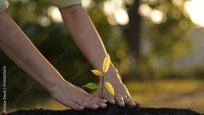 image to crop