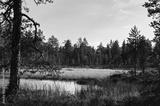 preview bw