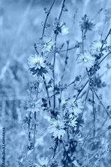 preview cold