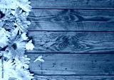 preview cold