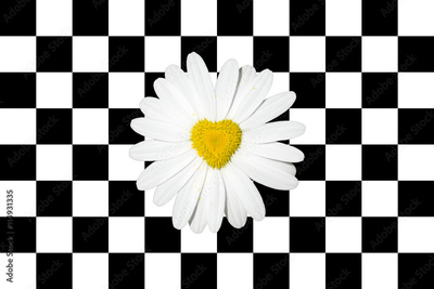 image to crop