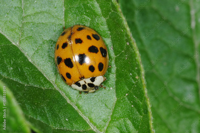 image to crop