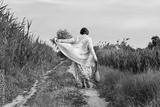 preview bw