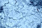 preview cold