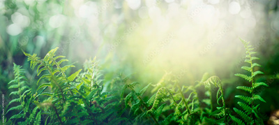 image to crop