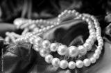 preview bw
