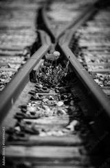 preview bw