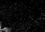 preview bw
