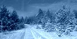 preview cold