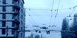 preview cold