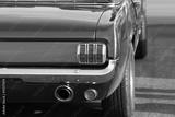preview bw