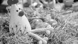 preview bw