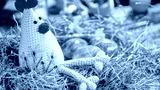 preview cold