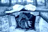 preview cold