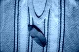 preview cold