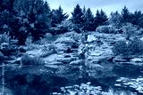 preview cold