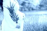 preview cold