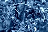 preview cold
